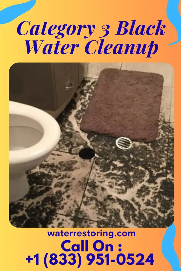 Category 3 Black Water Cleanup in Hydetown, PA