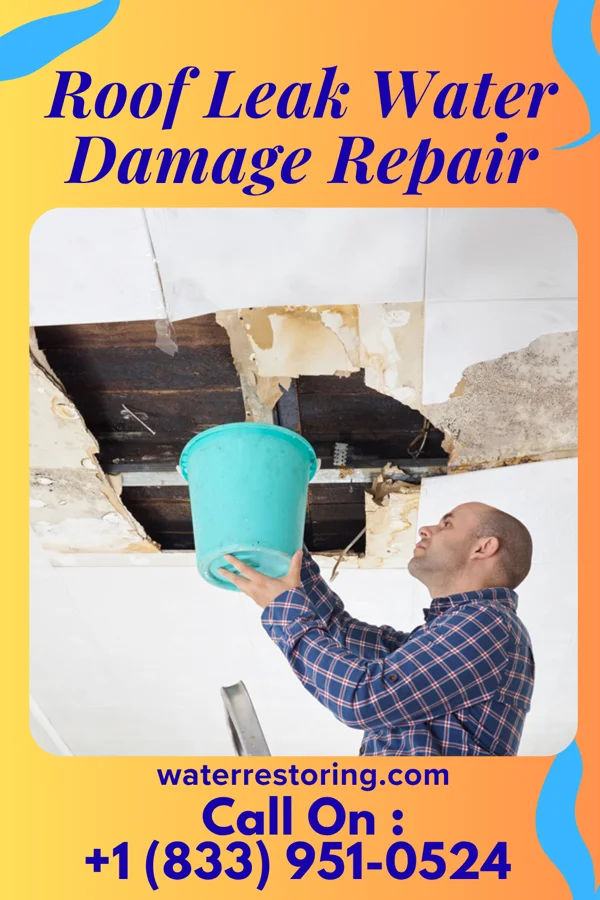 Roof Leak Water Damage Repair in Hydetown, PA