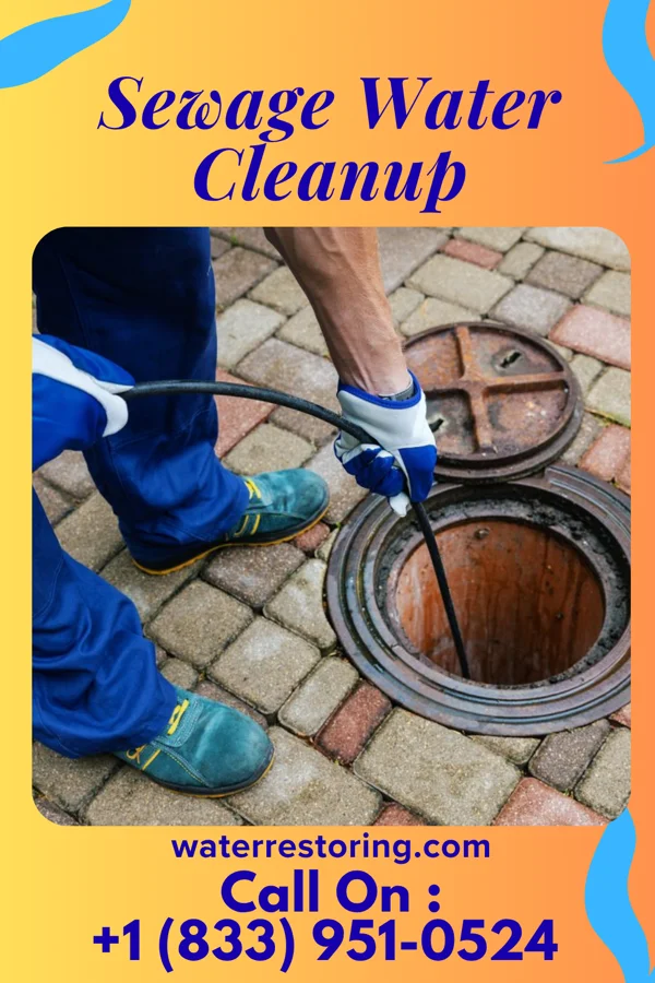 Sewage Water Cleanup in Hydetown, PA